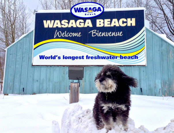 Wasaga Beach Cottage Rentals Wasagarental Com